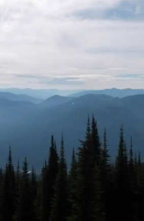 Forested mountains in British Columbia