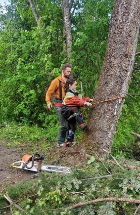 Hands-on chainsaw training at the base of a tree